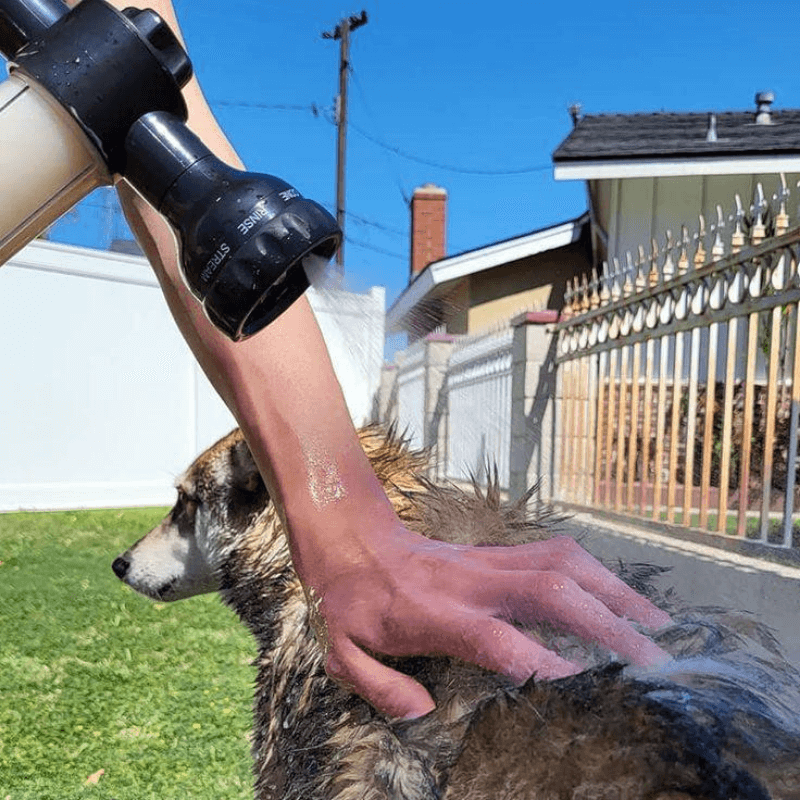 PurePaws™ LuxRinse