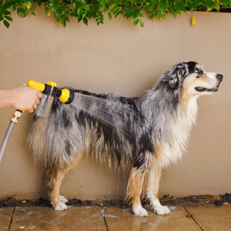 PurePaws™ LuxRinse