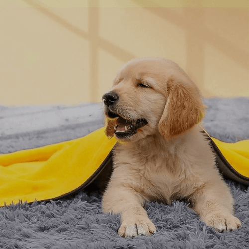 PurePaws™ Everyday Bundle