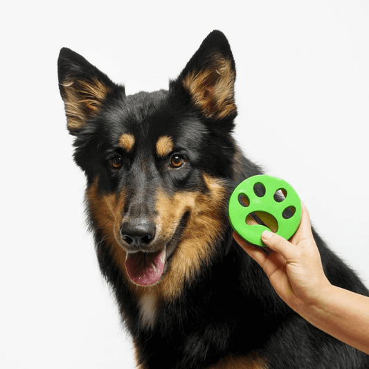 PurePaws™ FurBlitz (4 pack)