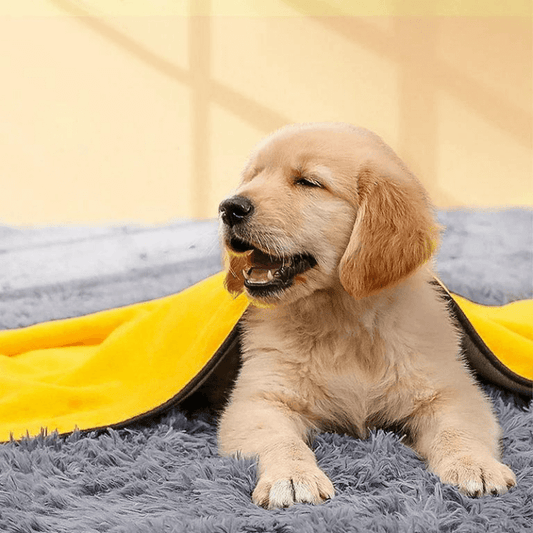 PurePaws™ EliteDry