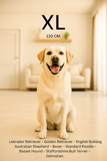 PurePaws™ CloudBed