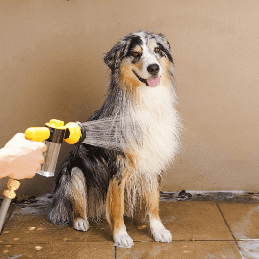 PurePaws™ LuxRinse