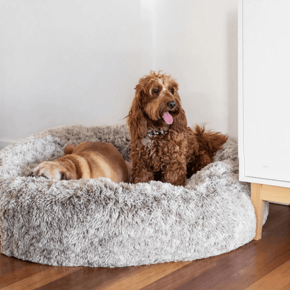 PurePaws™ CloudBed