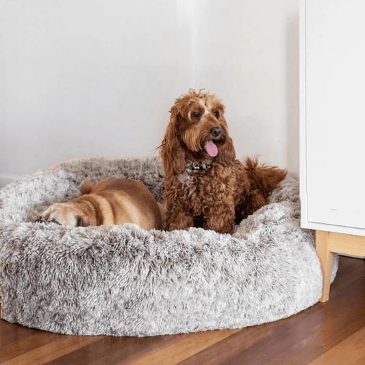 PurePaws™ CloudBed