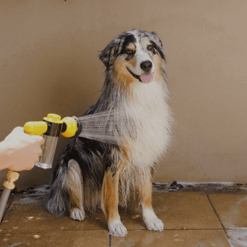 PurePaws™ Premium Bundle