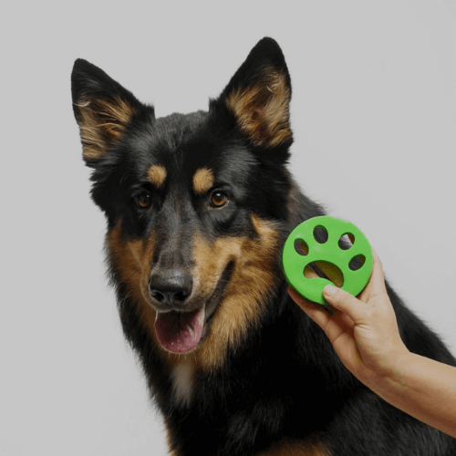 PurePaws™ Premium Bundle