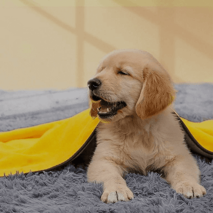 PurePaws™ Premium Bundle
